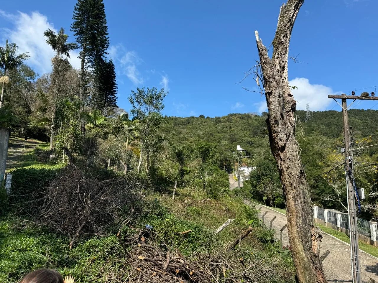 Terreno para venda em Itacorubi com 47743 m² — foto principal