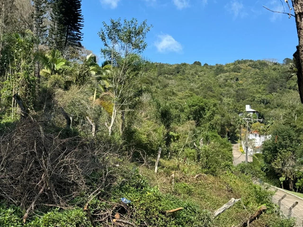 Terreno para venda em Itacorubi com 47743 m² — foto 2