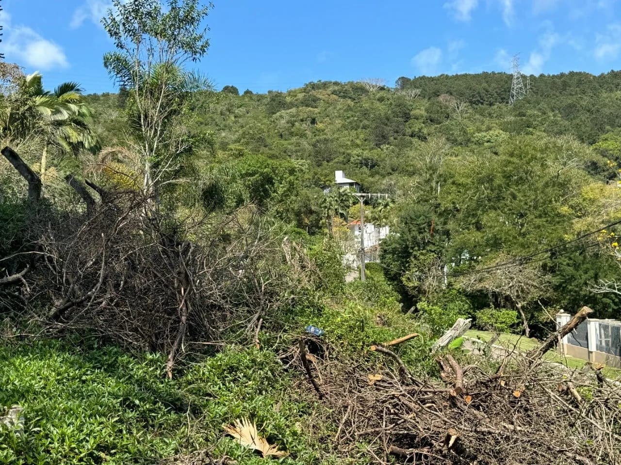 Terreno para venda em Itacorubi com 47743 m² — foto 3