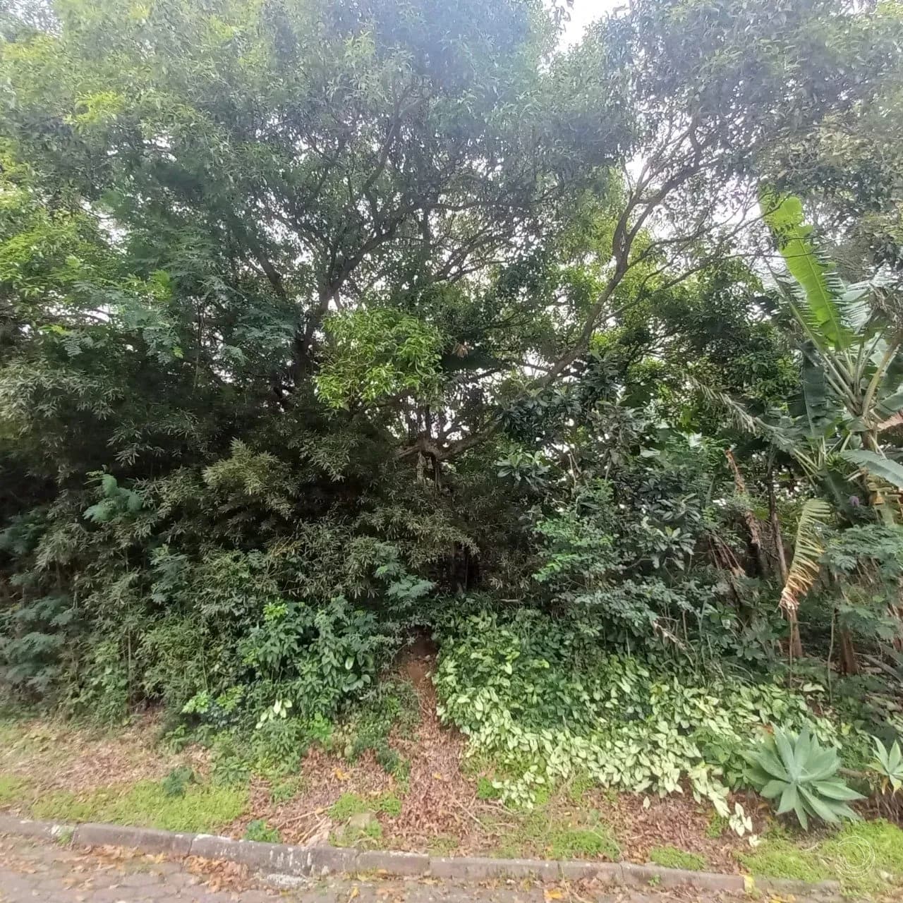 Terreno para venda em Trindade com 417 m² — foto principal