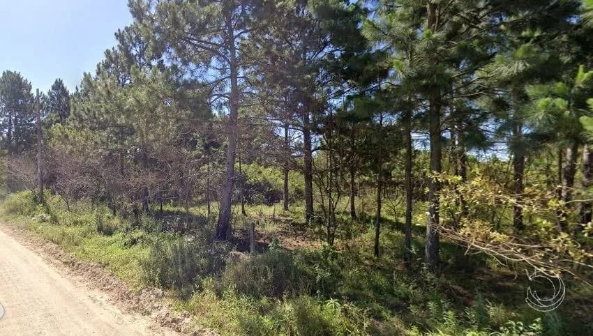 Terreno para venda em Enseada da Pinheira com 10000 m² — foto 4