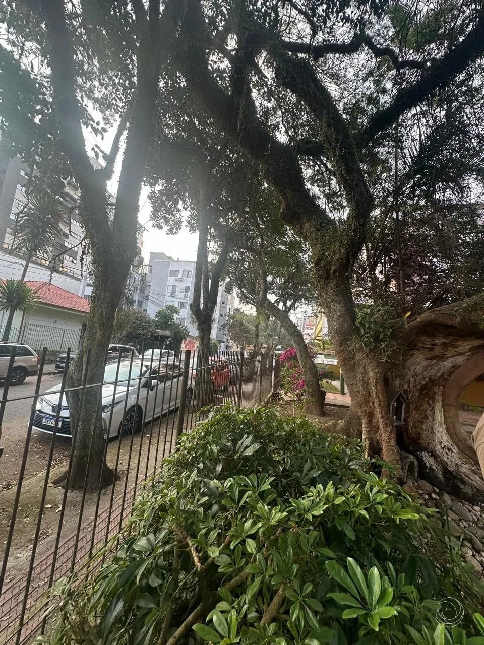 Terreno para venda em Coqueiros com 714 m² — foto 5