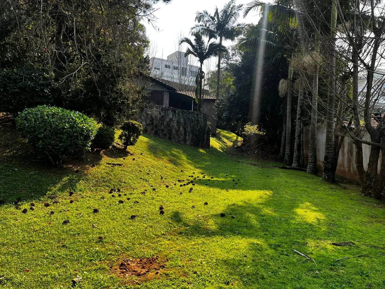 Terreno para venda em Bosque Das Mansões com 1252 m²