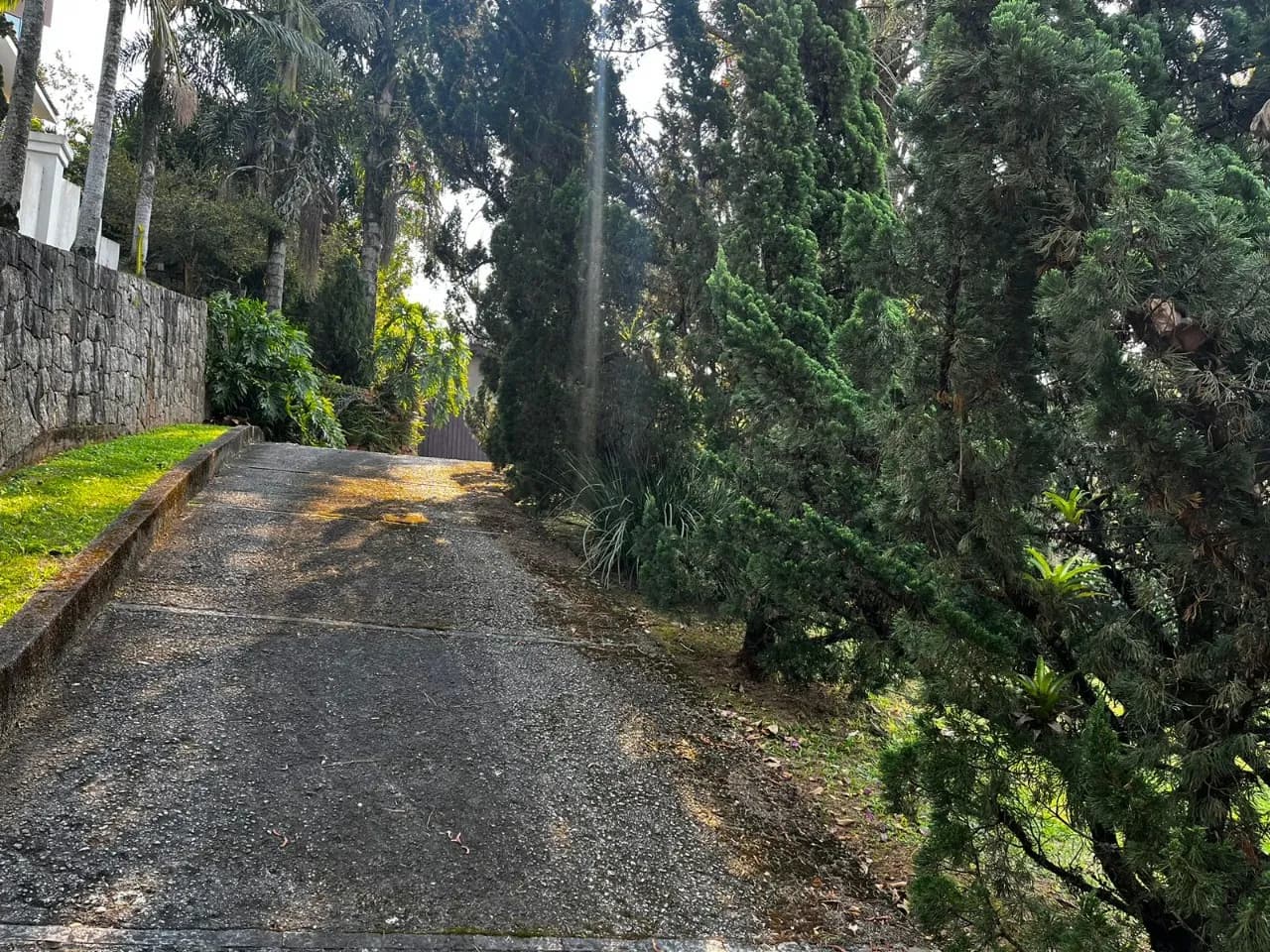 Terreno para venda em Bosque Das Mansões com 1252 m² — foto 2