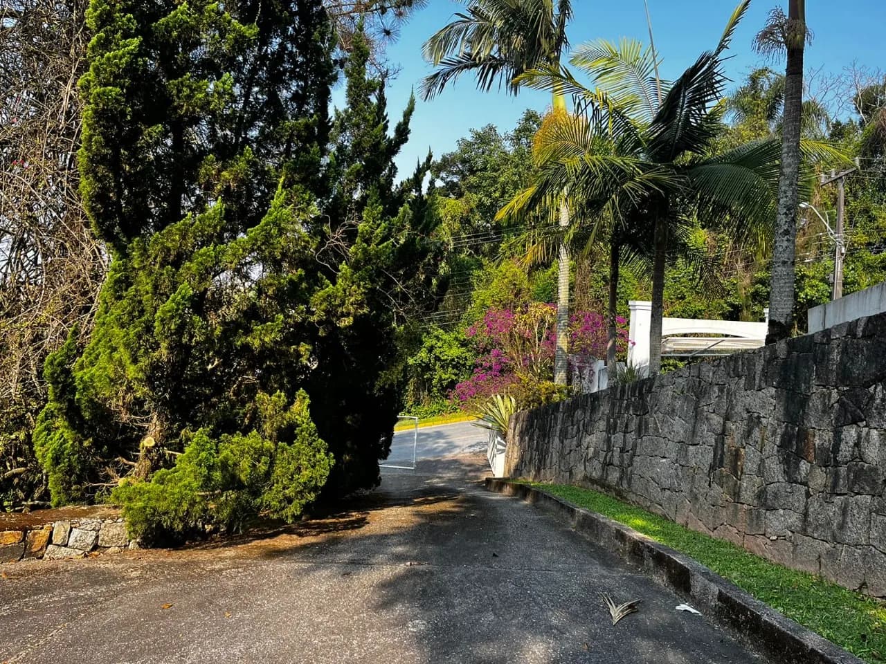 Terreno para venda em Bosque Das Mansões com 1252 m² — foto 3