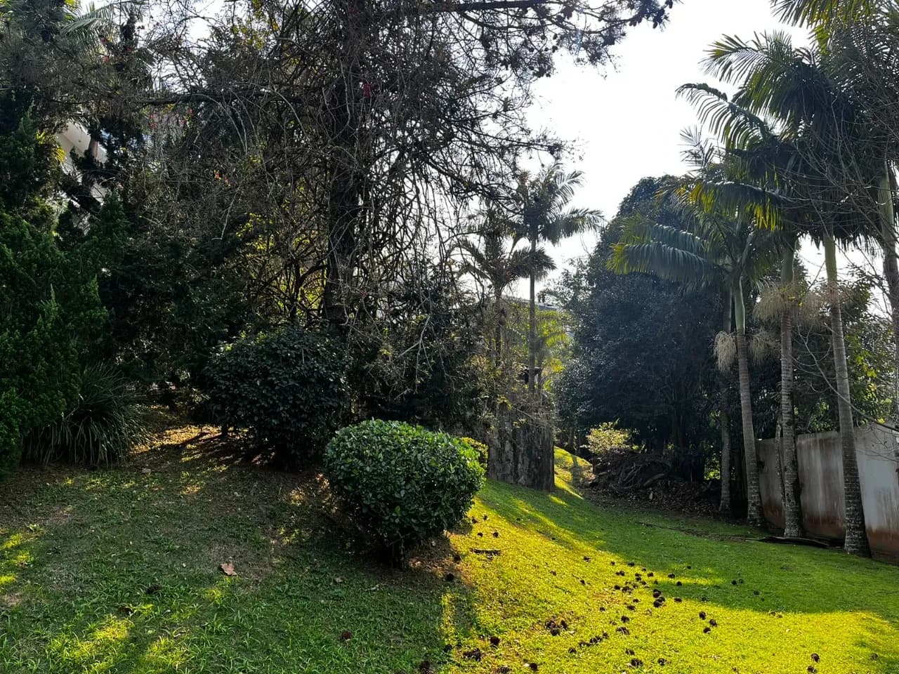 Terreno para venda em Bosque Das Mansões com 1252 m² — foto 4