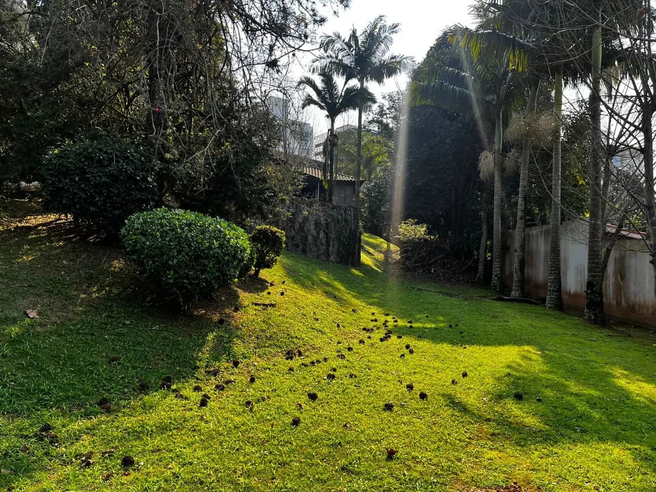 Terreno para venda em Bosque Das Mansões com 1252 m² — foto 5