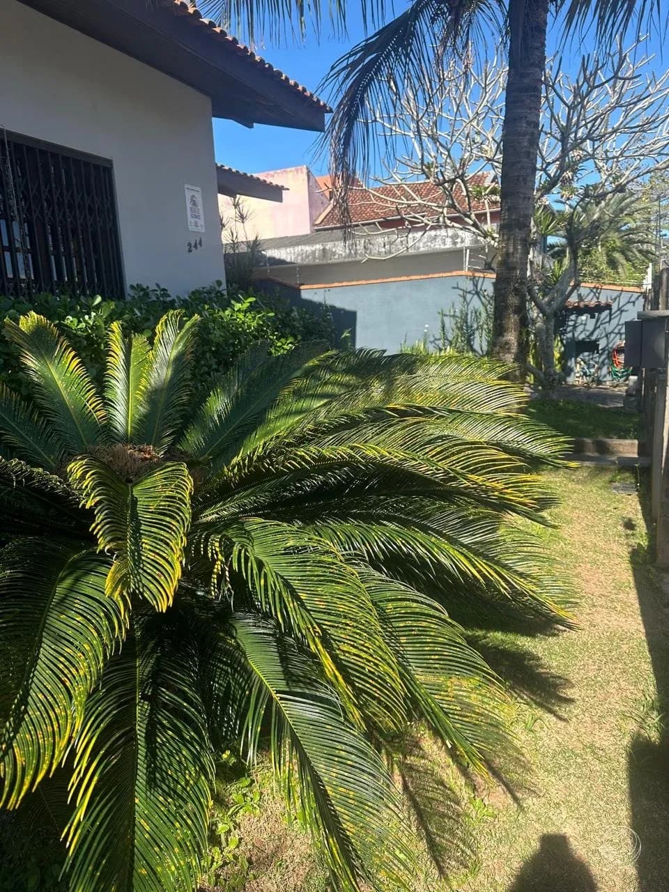 Terreno para venda em Santa Mônica com 620 m² — foto 3