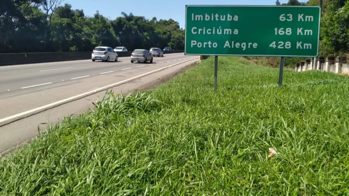 Terreno para venda em Praia De Fora com 7870 m² — foto 3