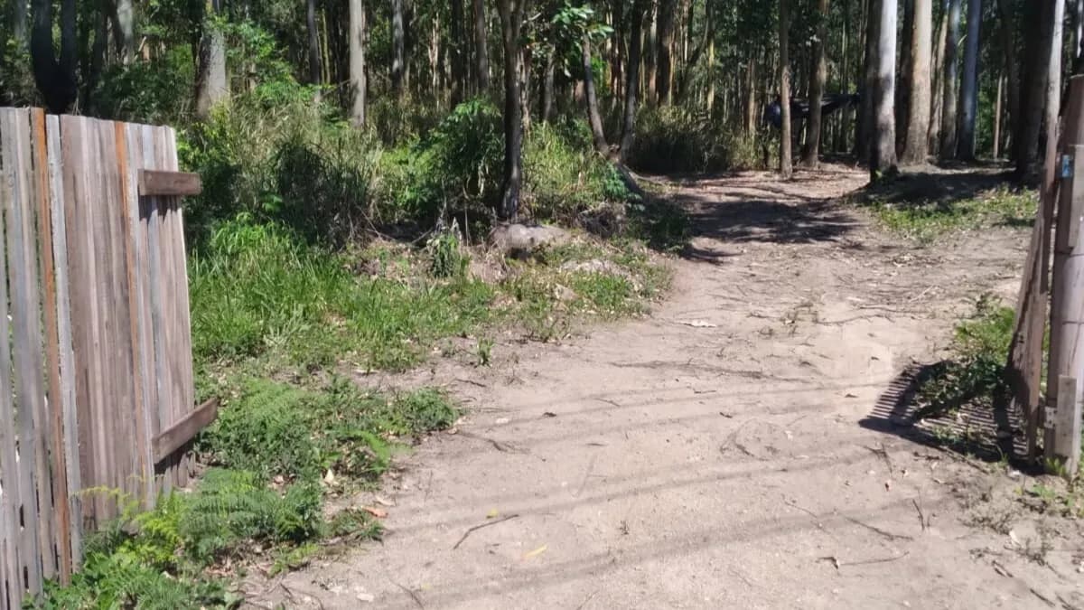 Terreno para venda em Praia De Fora com 7870 m² — foto 4