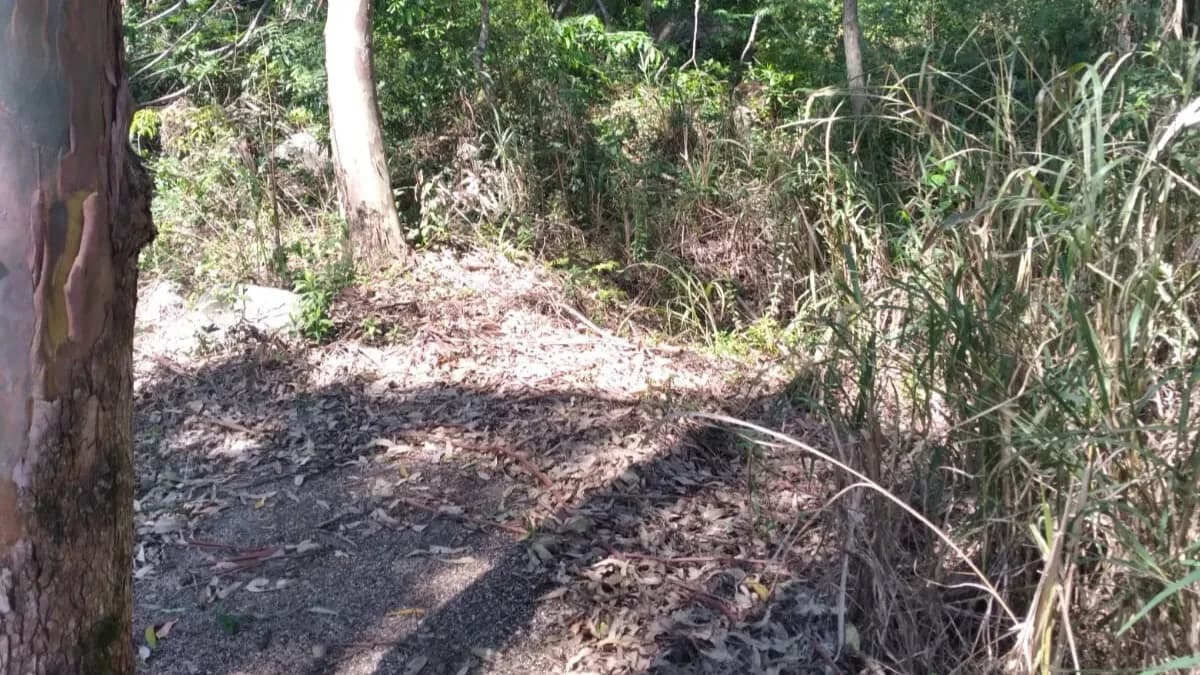 Terreno para venda em Praia De Fora com 7870 m² — foto 5