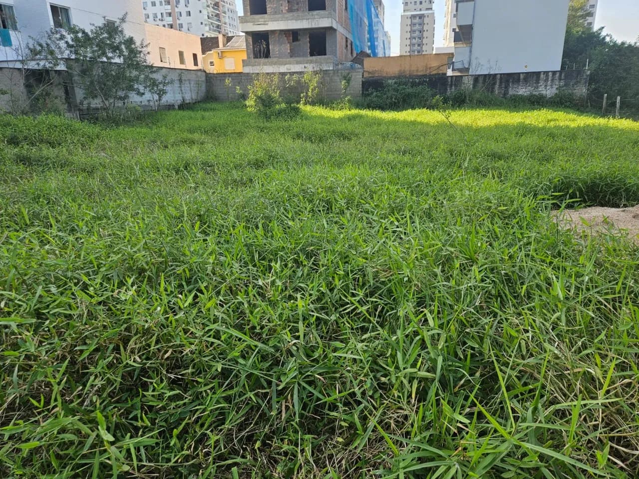 Terreno para venda em Pedra Branca com 737 m² — foto 5