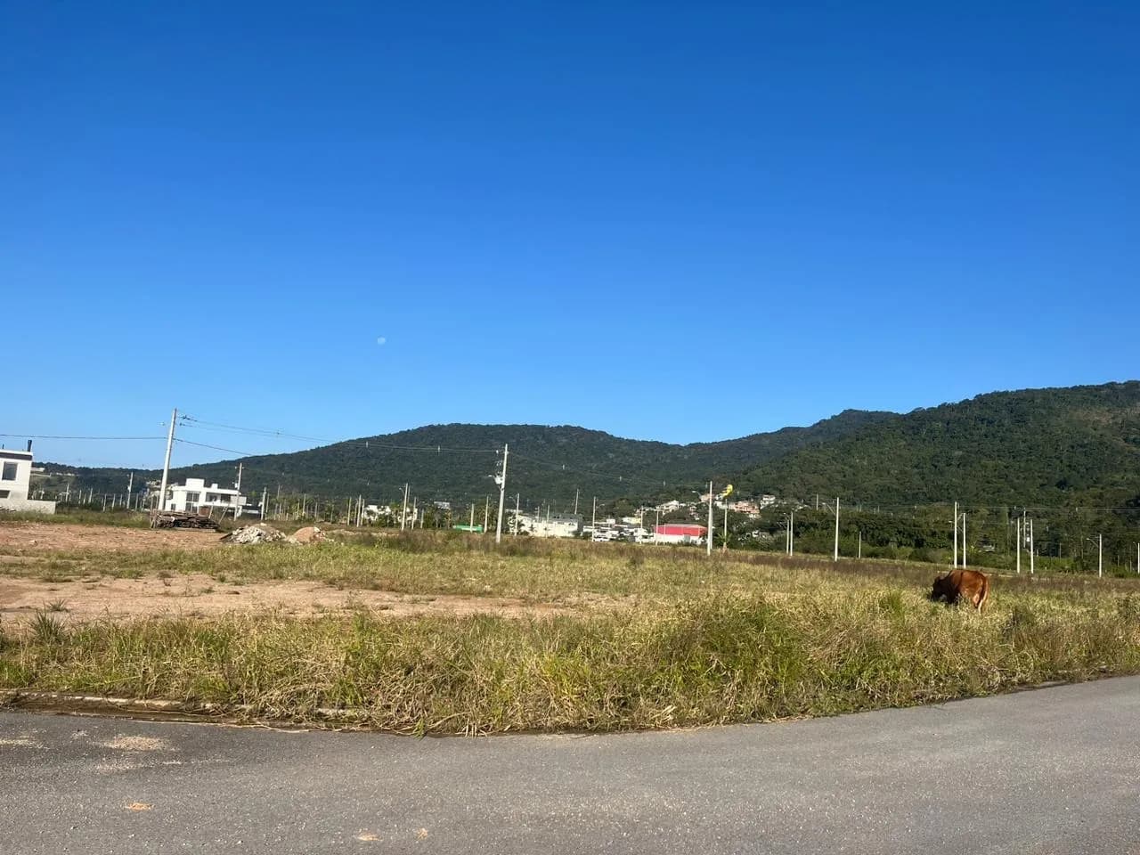 Terreno para venda em Vargem Grande com 476 m² — foto 3