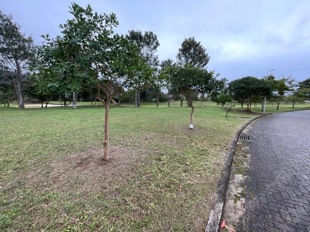 Terreno para venda em Ingleses Do Rio Vermelho com 827 m² — foto 2
