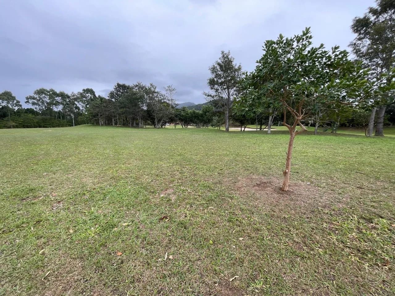 Terreno para venda em Ingleses Do Rio Vermelho com 827 m² — foto 3