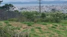 Terreno para venda em Barreiros com 625 m² — foto 3