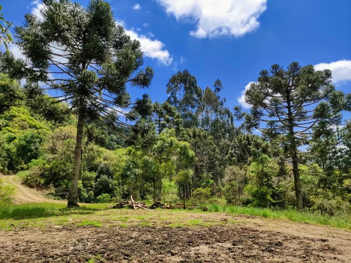 Terreno para venda em Rancho Queimado com 25774 m² — foto principal