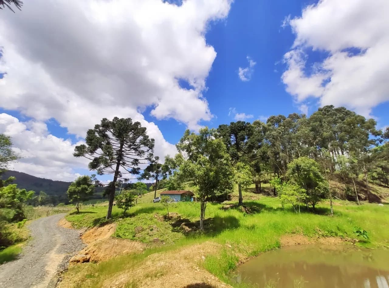 Terreno para venda em Rancho Queimado com 25774 m² — foto 5