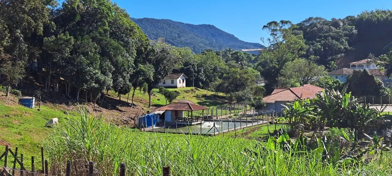 Sitio/fazenda para venda com 4 dormitórios em Sertao Do Maruim com 450 m²