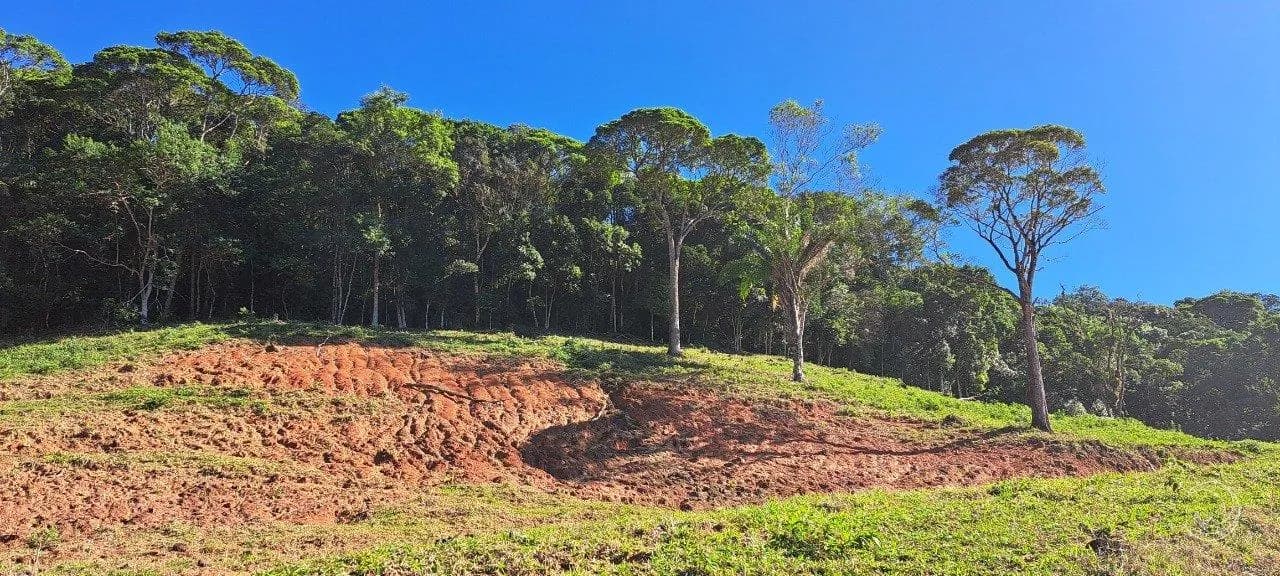 Sitio/fazenda para venda com 4 dormitórios em Sertao Do Maruim com 450 m² — foto 4
