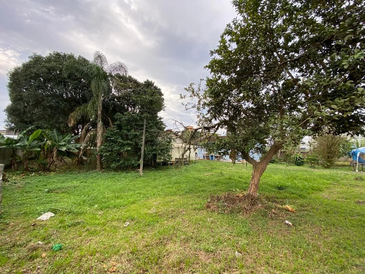 Terreno para venda em Pacheco com 2327 m² — foto 2
