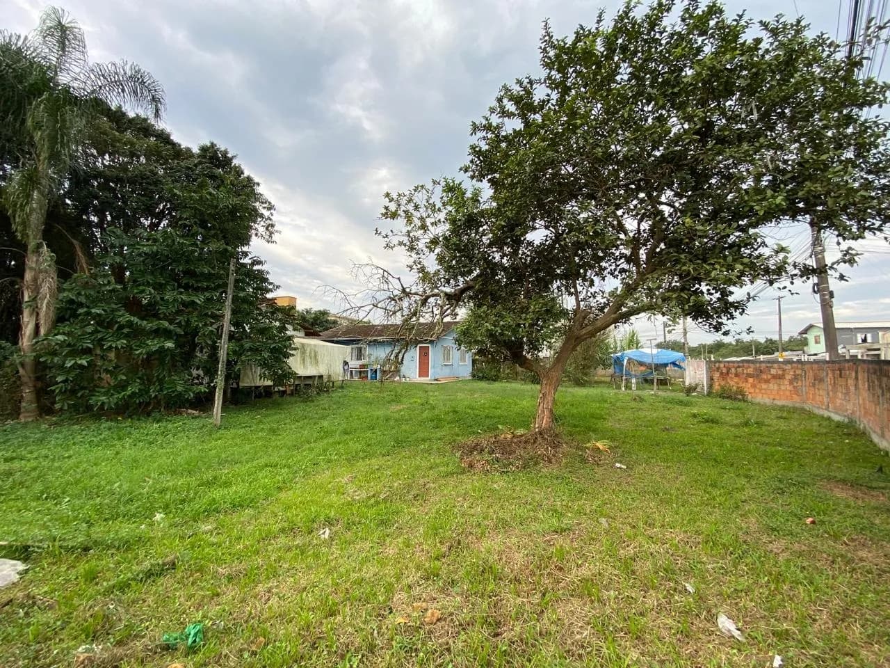 Terreno para venda em Pacheco com 2327 m² — foto 3