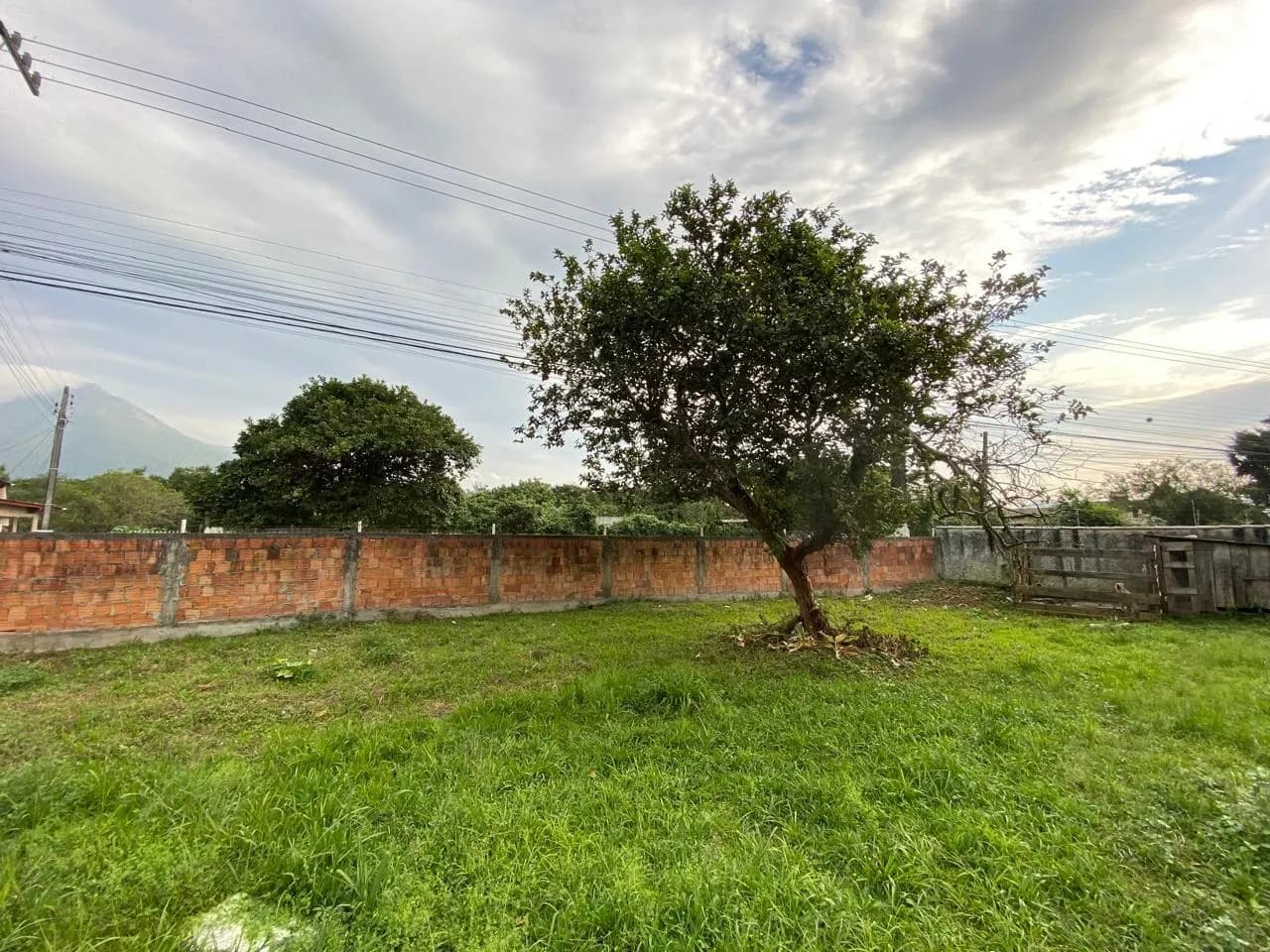 Terreno para venda em Pacheco com 2327 m² — foto 4