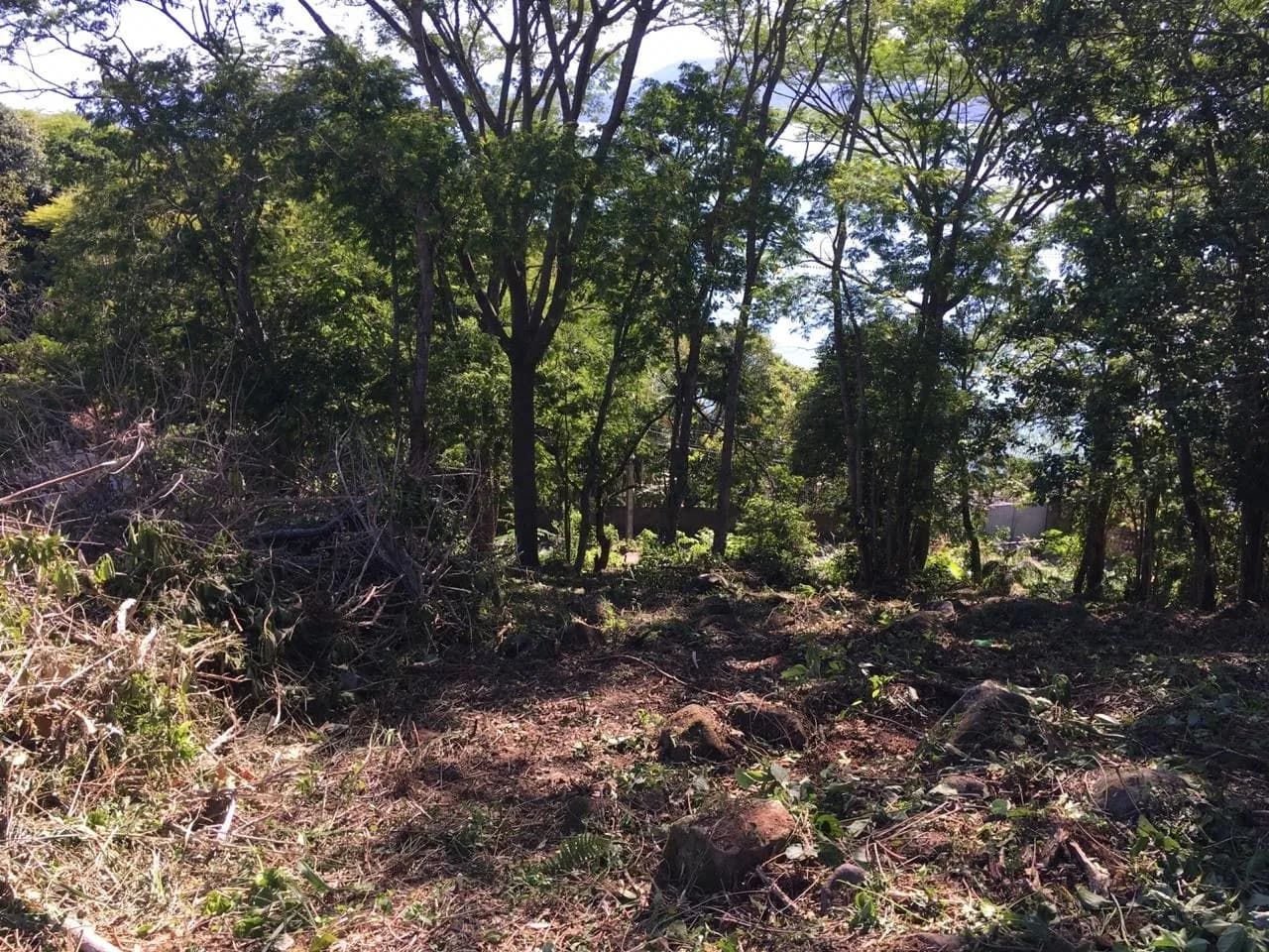 Terreno para venda em Ribeirão da Ilha com 1752 m² — foto 3