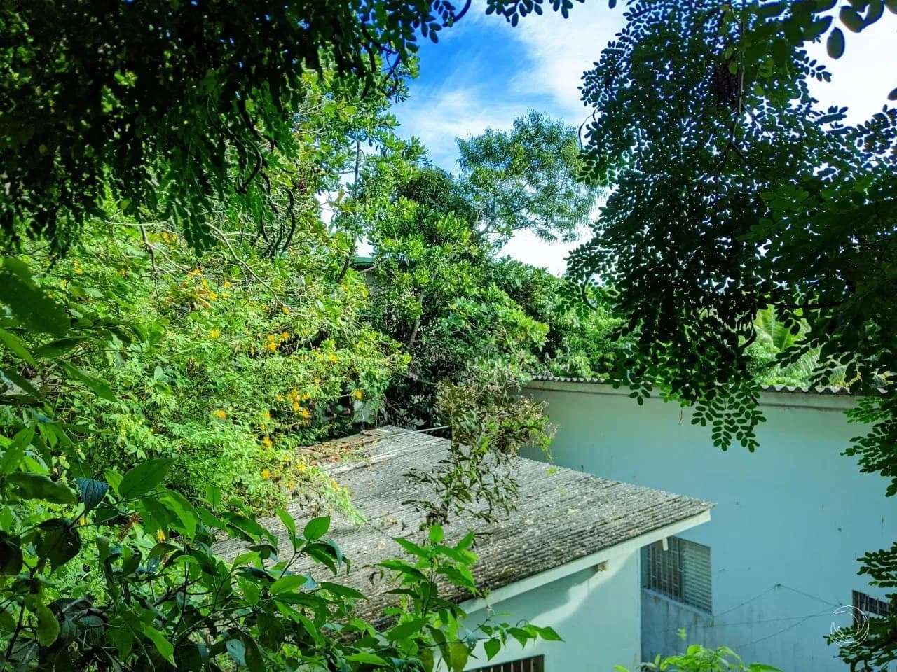 Terreno para venda em Cacupé com 3000 m² — foto 4