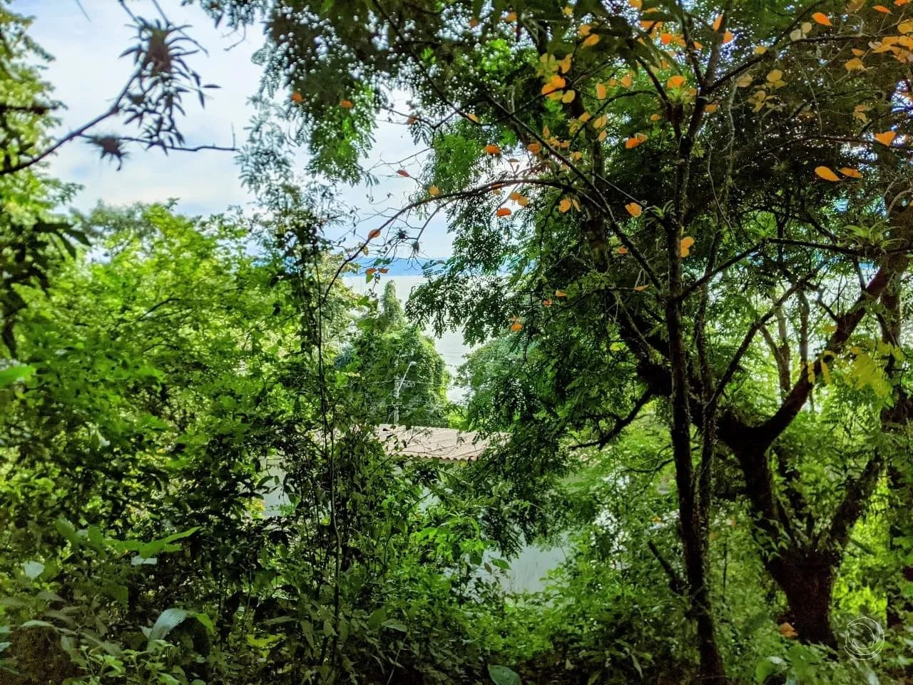 Terreno para venda em Cacupé com 3000 m² — foto 5