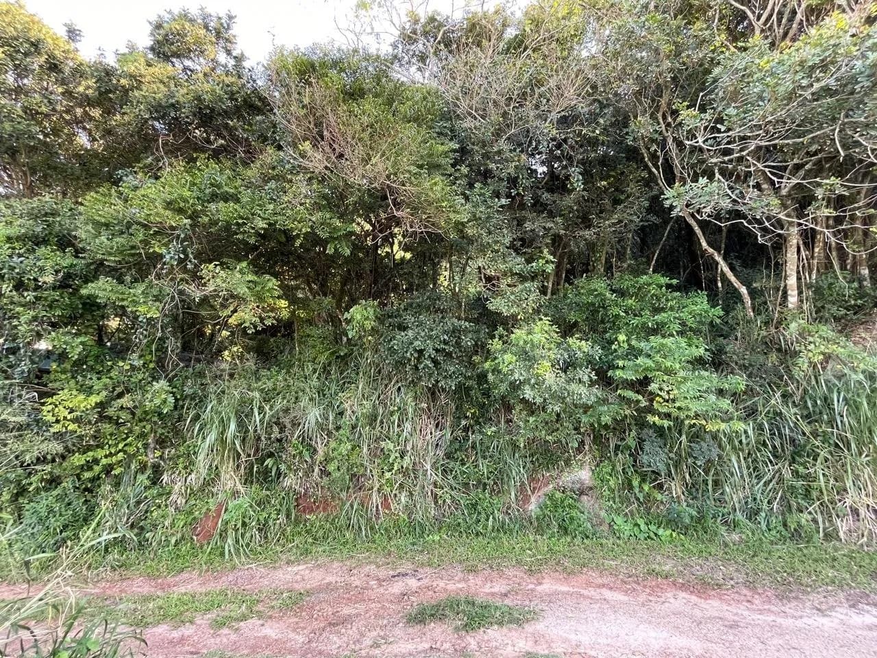 Terreno para venda em Açores com 350 m² — foto 3