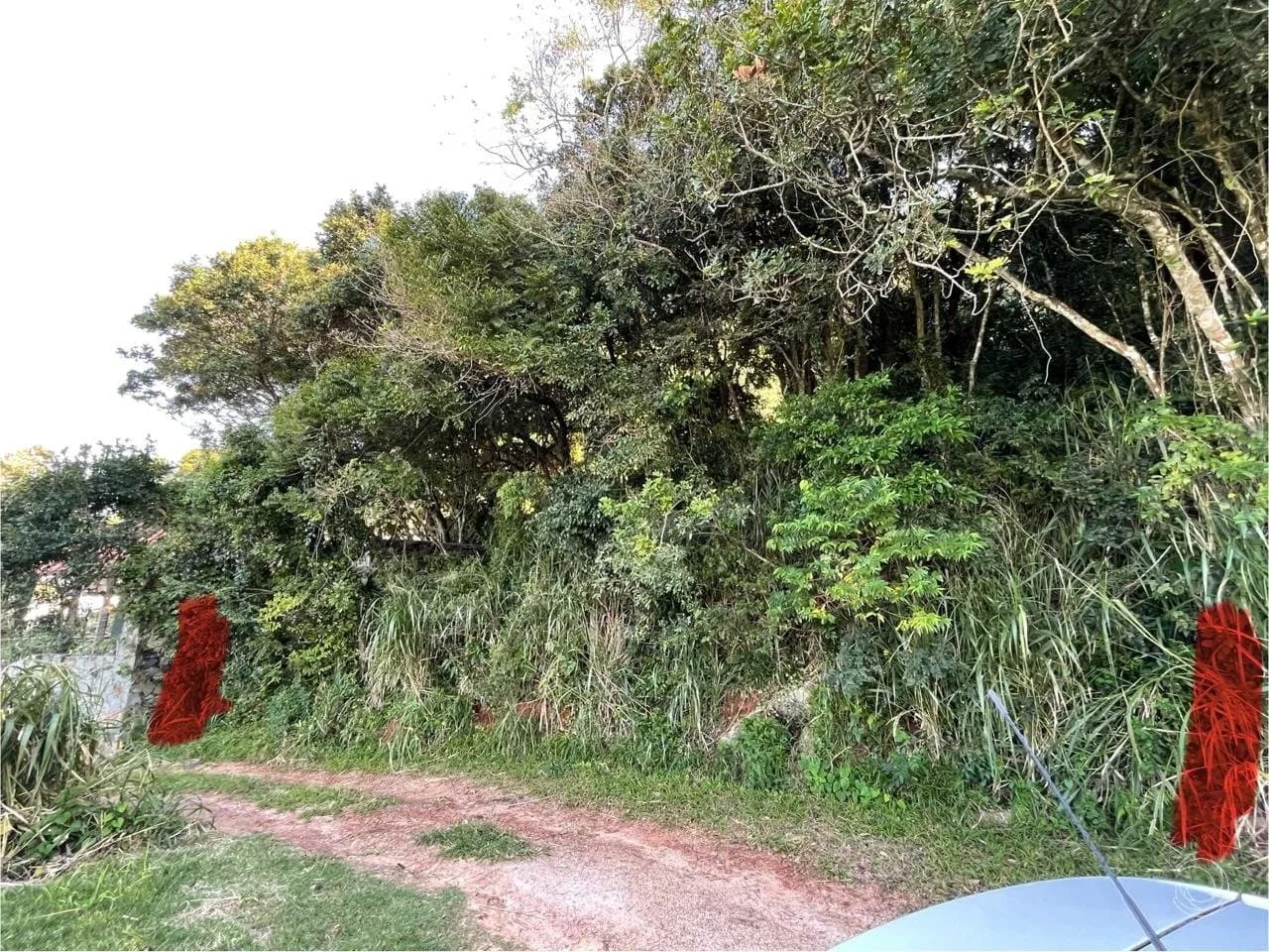 Terreno para venda em Açores com 350 m² — foto 4