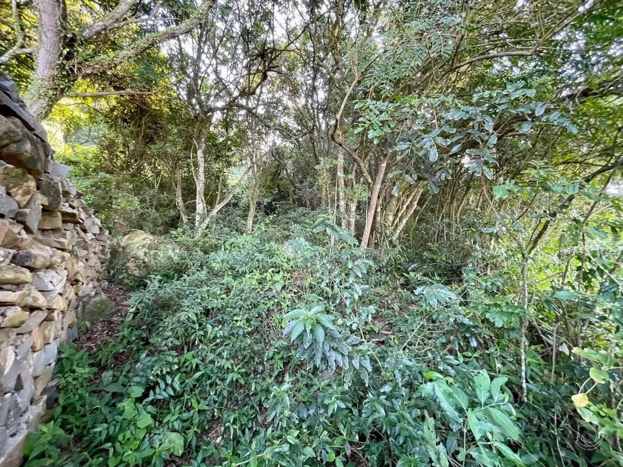 Terreno para venda em Açores com 350 m² — foto 5