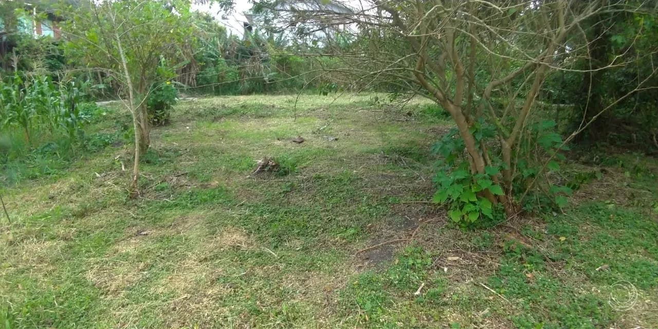 Terreno para venda em Morro Das Pedras com 3575 m²