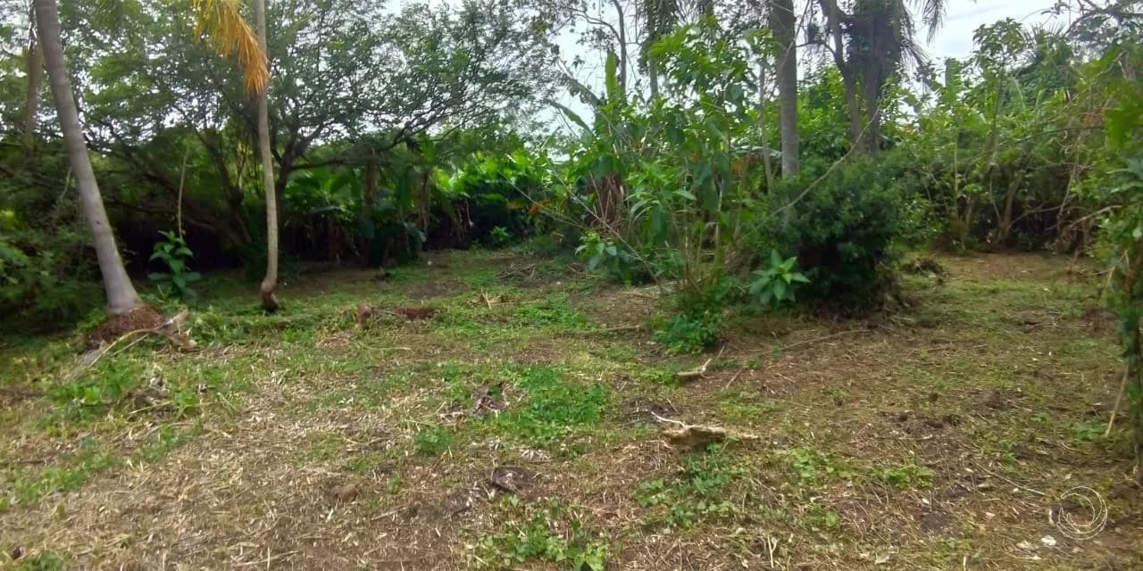 Terreno para venda em Morro Das Pedras com 3575 m² — foto 5