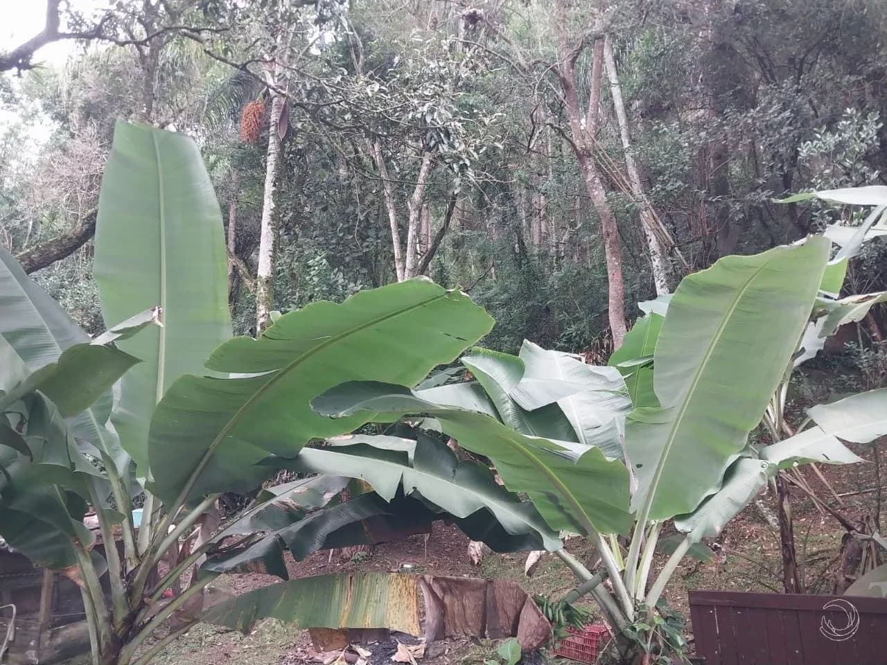 Terreno para venda em Santo Antônio de Lisboa com 10384 m² — foto 5