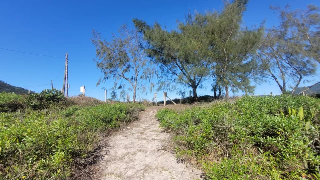 Terreno para venda em Pântano Do Sul com 1641 m² — foto 2