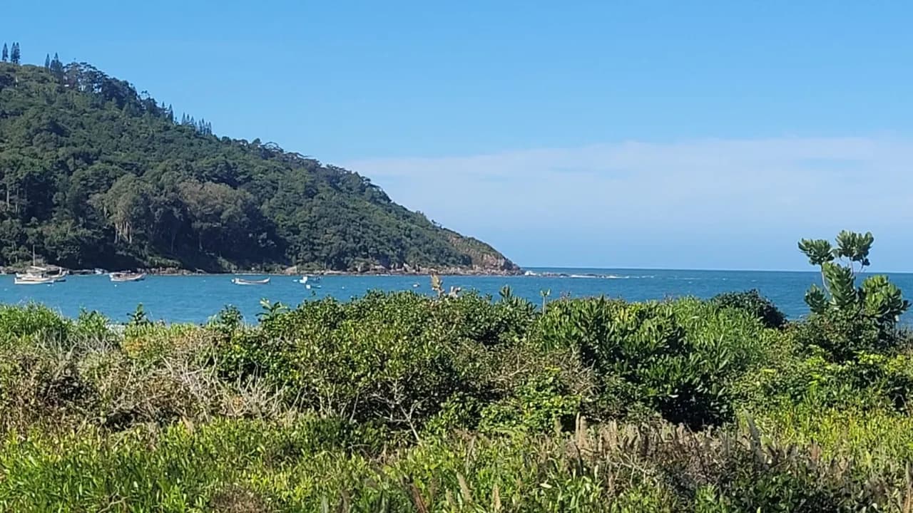Terreno para venda em Pântano Do Sul com 1641 m² — foto 3