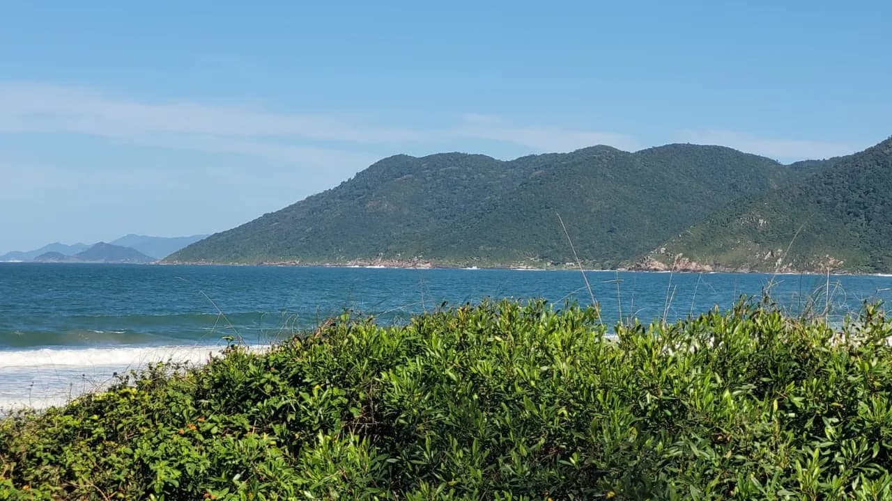 Terreno para venda em Pântano Do Sul com 1641 m² — foto 4