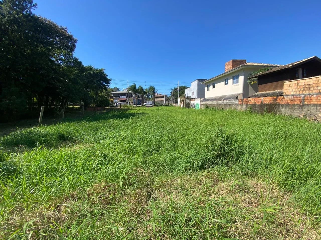 Terreno para venda em Rio Tavares com 1010 m² — foto 3
