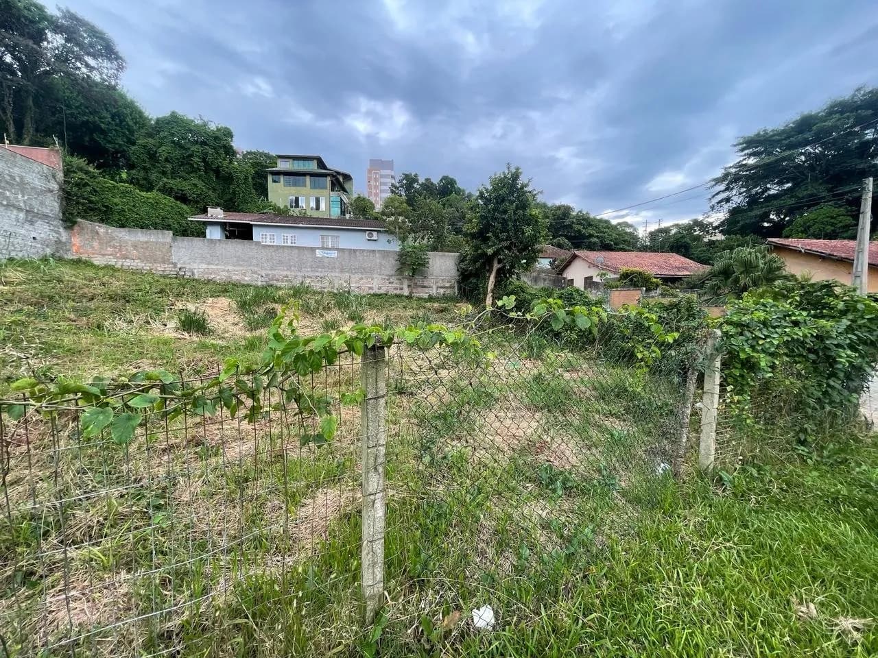Terreno para venda em Coqueiros com 360 m² — foto principal