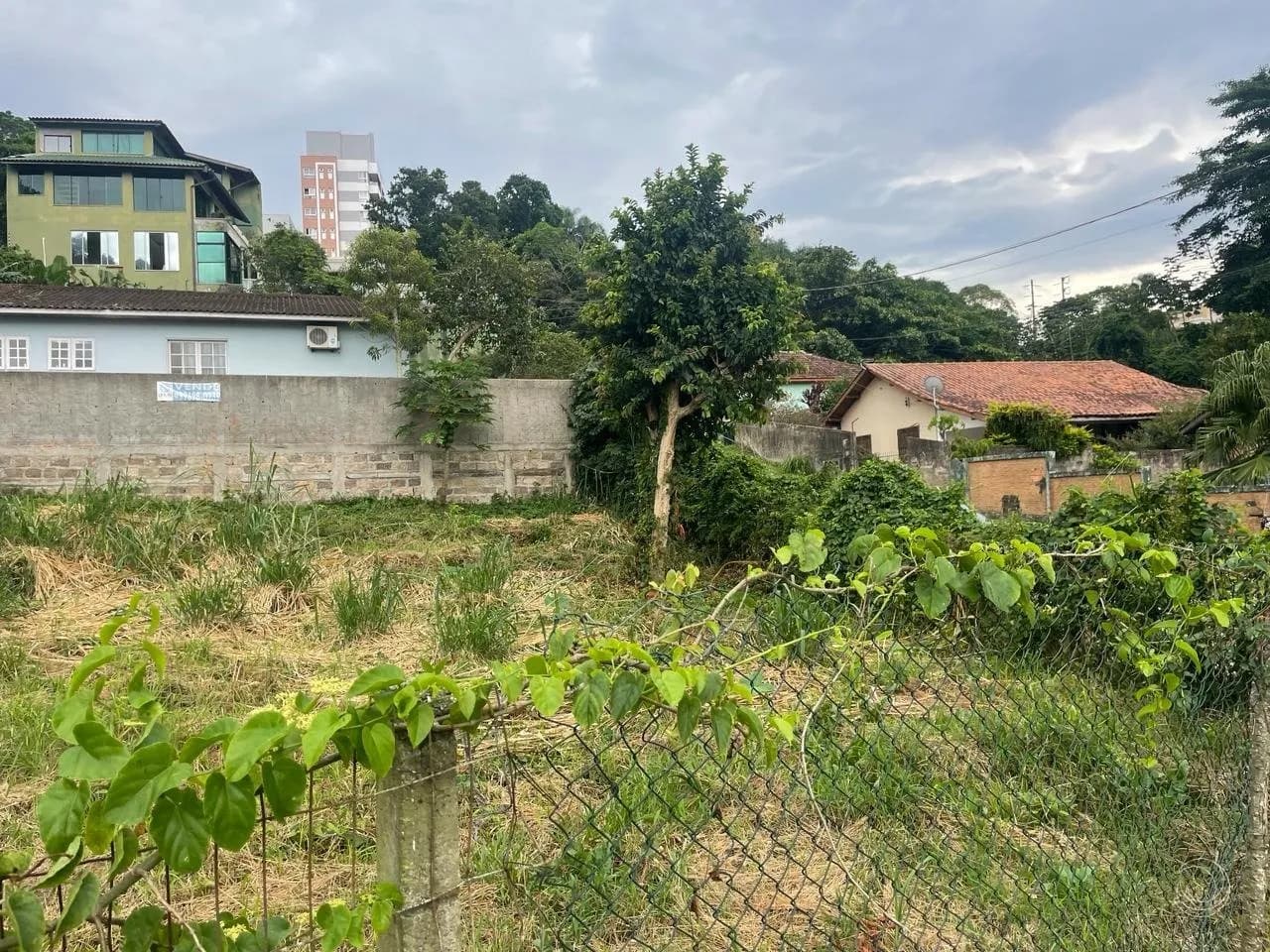 Terreno para venda em Coqueiros com 360 m² — foto 3
