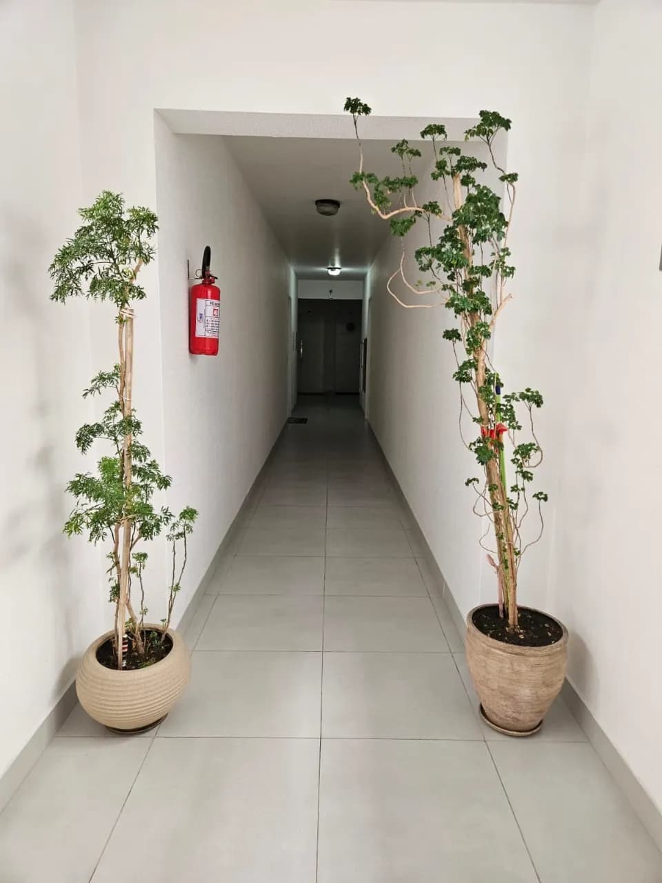 Apartamento para venda com 3 dormitórios em Coqueiros com 74 m² — foto 2