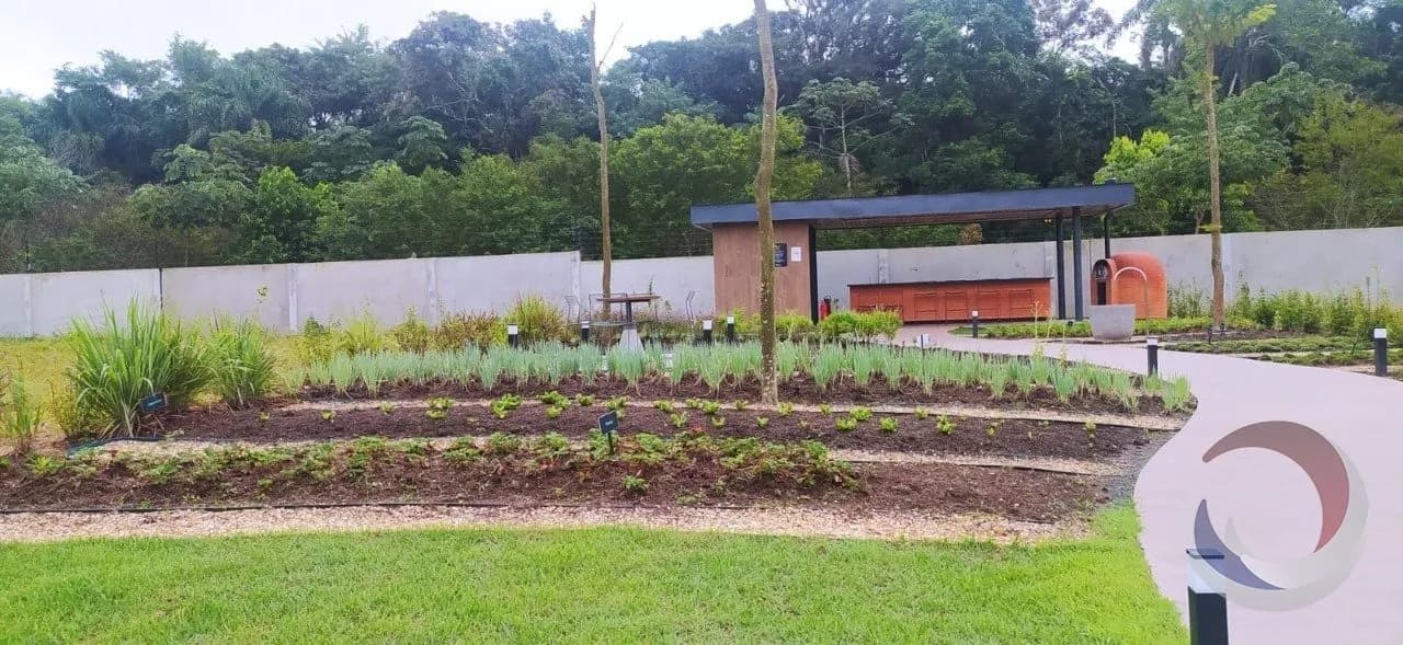Terreno para venda em Pedra Branca com 300 m² — foto 4