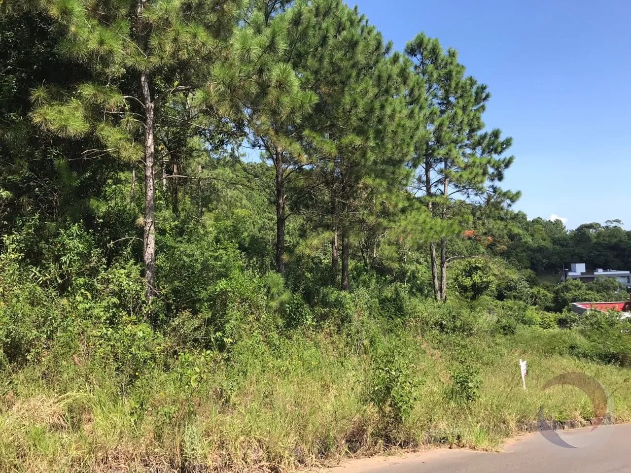 Terreno para venda em Itacorubi com 722 m² — foto principal