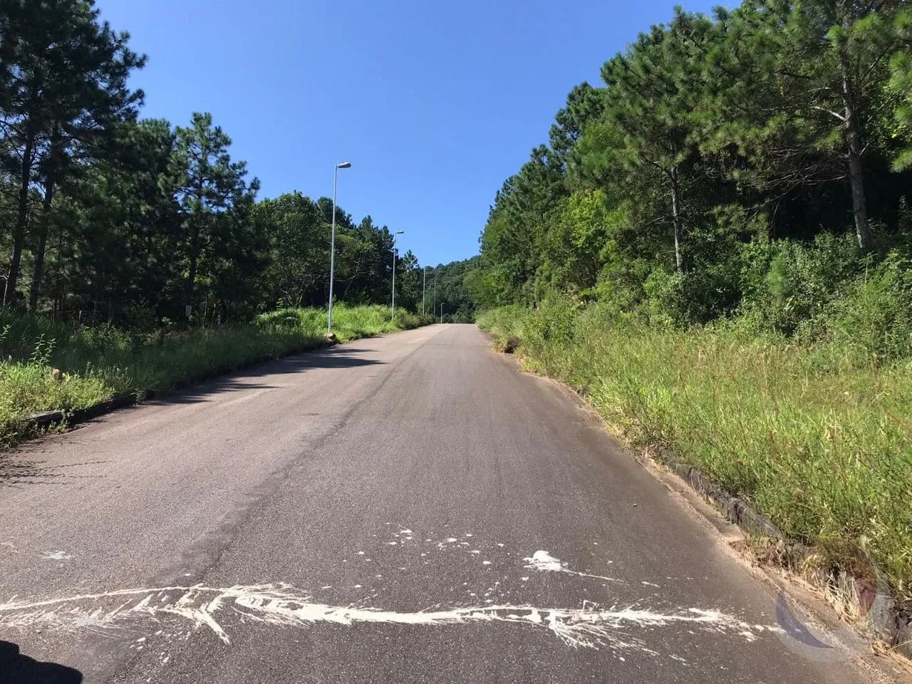 Terreno para venda em Itacorubi com 722 m² — foto 2