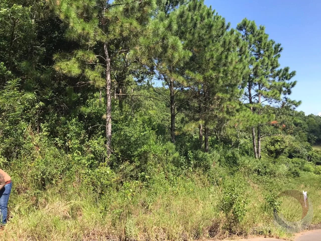 Terreno para venda em Itacorubi com 722 m² — foto 3