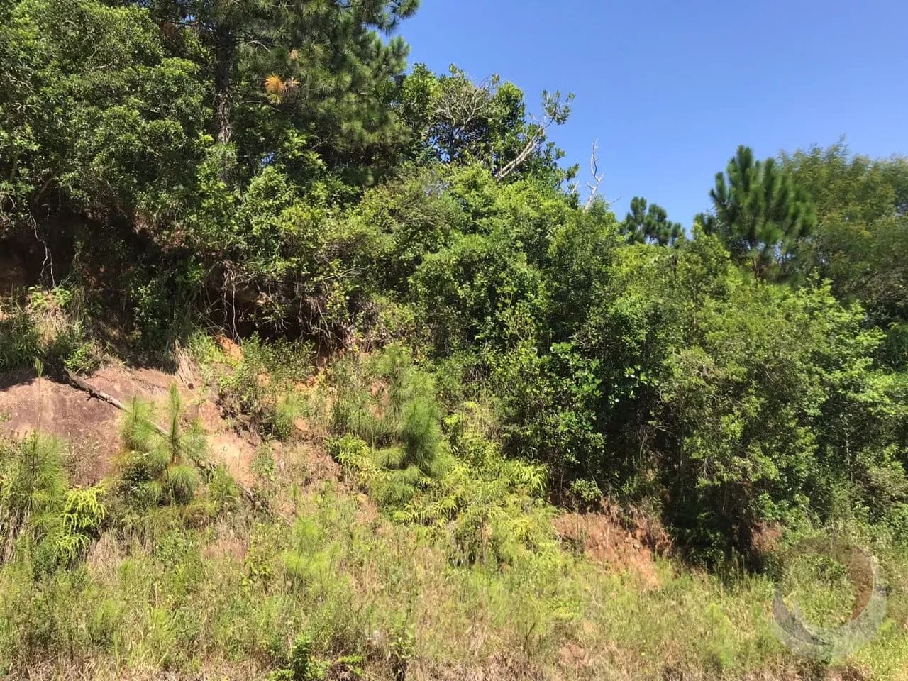 Terreno para venda em Itacorubi com 722 m² — foto principal