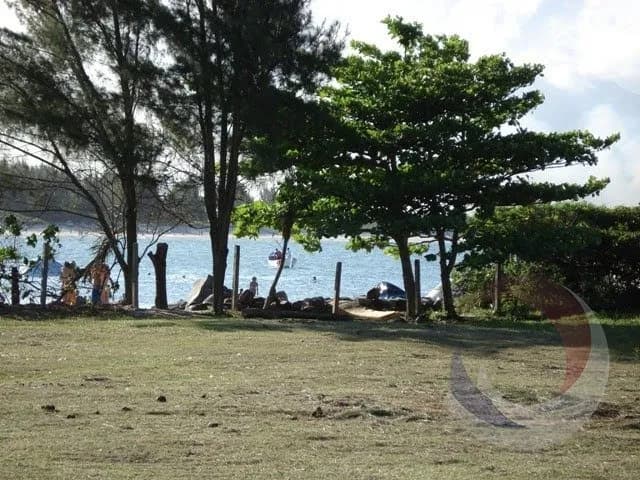 Terreno para venda em Ponta Do Papagaio com 121000 m² — foto 4