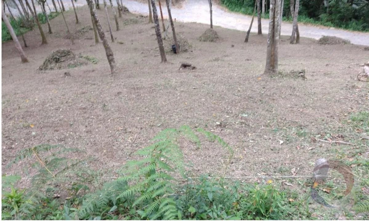 Terreno para venda em alto varginha com 1281 m²